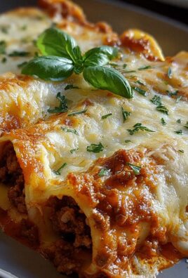 Cannelloni mit Rindfleisch und Käse